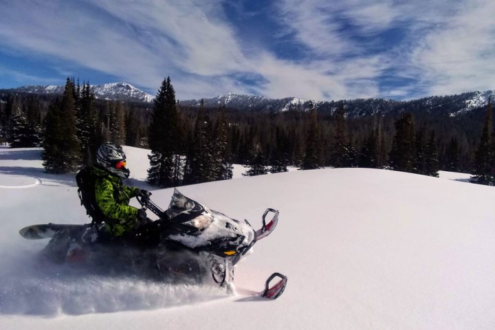 Snowmobiling through uncut powder